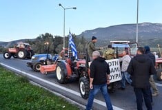ΑΓΡΟΤΕΣ ΜΠΛΟΚΑ ΠΡΩΤΟΧΡΟΝΙΑ