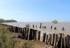 ΠΑΙΔΙΑ ΔΟΛΟΦΟΝΙΑ ΣΟΥΡΙΝΑΜ ΠΑΤΕΡΑΣ ΜΑΧΑΙΡΙ