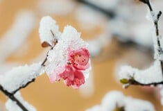 Καιρός: Υπό το μηδέν οι θερμοκρασίες στην Αττική παραμονή και ανήμερα Πρωτοχρονιάς