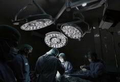 ΚΙΝΑ ΑΥΤΙ ΠΟΔΙ ΜΕΤΑΜΟΣΧΕΥΣΗ