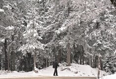 Καιρός: Βροχές και χιόνι αναμένονται σήμερα - 