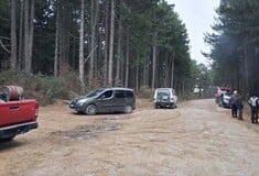 ΣΕΡΡΕΣ ΝΕΚΡΟΣ ΠΥΡΟΣΒΕΣΤΗΣ