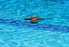 ΘΕΟΦΑΝΕΙΑ ΘΕΟΦΑΝΙΑ ΜΠΑΜΠΙΝΙΩΤΗΣ