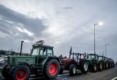 ΑΓΡΟΤΕΣ ΜΠΛΟΚΑ 48ΩΡΟΣ ΑΠΟΚΛΕΙΣΜΟΣ