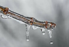 ΚΑΙΡΟΣ ΚΑΛΛΙΑΝΟΣ ΧΙΟΝΙΑ