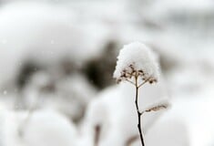 Καιρός - Τσατραφύλλιας: Ψυχρή εισβολή με θυελλώδεις ανέμους, καταιγίδες και χιόνια σήμερα στη χώρα
