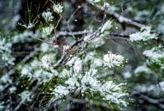 Καιρός: Πού θα χιονίσει απόψε και αύριο - H πορεία της ψυχρής εισβολής