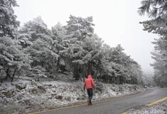 ΚΑΙΡΟΣ ΓΙΩΡΓΟΣ ΤΣΑΤΡΑΦΥΛΛΙΑΣ