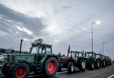 ΑΓΡΟΤΕΣ ΜΗΤΣΟΤΑΚΗΣ