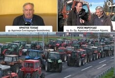 ΑΓΡΟΤΕΣ ΚΑΥΓΑΣ ΤΣΙΛΙΑΣ ΜΑΡΟΥΔΑΣ