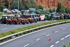 ΑΓΡΟΤΕΣ ΚΥΡΙΑΚΟΣ ΜΗΤΣΟΤΑΚΗΣ