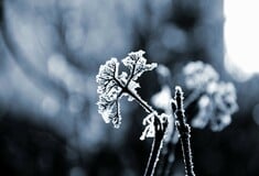 Μαρουσάκης: Προ των πυλών νέα κακοκαιρία - Επιστρέφει το τσουχτερό κρύο και τα χιόνια