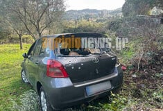 ΑΓΡΙΝΙΟ ΔΟΛΟΦΟΝΙΑ