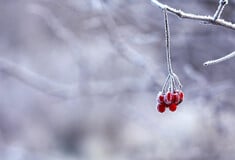 Καιρός: Θυελλώδης βοριάς από τη Μαύρη Θάλασσα φέρνει ψύχος και χιόνια σήμερα στη χώρα