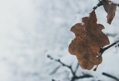 ΚΑΙΡΟΣ ΨΥΧΟΣ ΚΡΥΟ ΚΟΛΥΔΑΣ ΑΤΤΙΚΗ