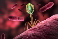 ΔΙΑΣΤΗΜΑ ΙΟΙ