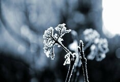 Καιρός: Επιμένει το τσουχτερό κρύο - «Βουτιά» του υδραργύρου υπό το μηδέν και χιόνια