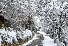 Καιρός: Ψύχος και χιονισμένα τοπία σε Θεσσαλία, Στερεά και Μακεδονία