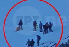 ΤΑΥΓΕΤΟΣ ΠΥΡΟΣΒΕΣΤΙΚΗ ΟΡΕΙΒΑΤΕΣ