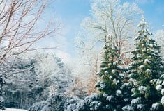 Καιρός: Βροχές, χιόνια και άνεμοι έως 10 μποφόρ αναμένονται σήμερα, Τρίτη 