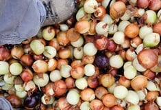 ΠΑΤΑΤΕΣ ΚΡΕΜΜΥΔΙΑ ΜΕΓΑΛΗ ΒΡΕΤΑΝΙΑ ΠΛΟΙΟ