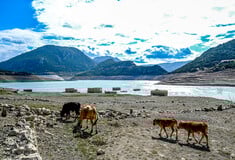 ΛΕΙΨΥΔΡΙΑ ΚΡΙΣΗ ΟΗΕ 