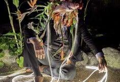 22 πολιτιστικές εκδηλώσεις γι’ αυτή την εβδομάδα (22-28/1)