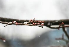 Νέα μεταβολή του καιρού με «λασποβροχές, χιόνια και 20άρια» - Καταιγίδες εκ νέου στην Αττική