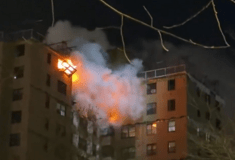 ΝΕΑ ΥΟΡΚΗ ΜΠΡΟΝΞ ΦΩΤΙΑ