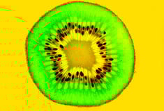 «Οι καταναλωτές δεν θα γνωρίζουν τι τρώνε και οι αγρότες τι καλλιεργούν»