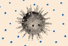 ΕΠΕΞ Καρκίνος παχέος εντέρου: Γιατί εμφανίζεται όλο και συχνότερα σε νέους