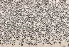 Η μία τραγωδία μετά την άλλη