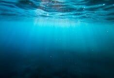 ΕΞΑΦΑΝΙΣΗ ΑΝΘΡΩΠΟΥ ΓΗ ΕΙΔΟΣ