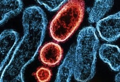 ΙΟΣ ΝΙΠΑ NIPAH 