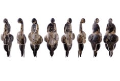 Τα μυστικά της Αφροδίτης του Λεσπίγκ/Η Αφροδίτη του Λεσπίγκ και το διαχρονικό της μυστήριο