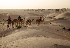 Σαουδική Αραβία: Γιατί οι καμήλες θα αποκτήσουν διαβατήρια