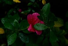 ΚΑΙΡΟΣ ΒΡΟΧΕΣ ΕΜΥ