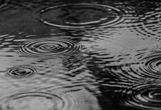 Μαρουσάκης: Διαδοχικές κακοκαιρίες στη χώρα μέχρι την Κυριακή - Καταιγίδες και πτώση του υδραργύρου