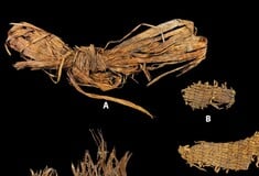 ΕΝΔΥΜΑΤΑ ΠΛΕΚΤΑ ΑΡΧΑΙΑ