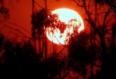 ΓΗ ΥΠΕΡΘΕΡΜΑΝΣΗ ΤΟΥ ΠΛΑΝΗΤΗ ΖΕΣΤΗ ΚΑΥΣΩΝΑΣ