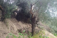 ΚΑΚΟΚΑΙΡΙΑ ΚΑΤΑΚΟΛΟ ΗΛΕΙΑ ΒΟΥΝΟ