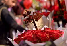 ΑΓΙΟΥ ΒΑΛΕΝΤΙΝΟΥ ΛΟΥΛΟΥΔΙΑ ΧΗΜΙΚΑ