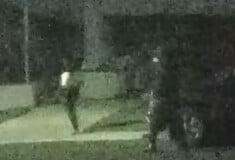 ΑΠΑΓΩΓΗ ΛΑΘΟΣ ΑΥΣΤΡΑΛΙΑ