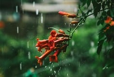 Καιρός: Βαθύ βαρομετρικό χαμηλό φέρνει 24ώρη ισχυρή κακοκαιρία - Ξεκινά από το βράδυ