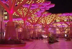 ΚΑΛΟΚΑΙΡΙ ΚΑΤΑΡ ΔΑΣΟΣ ΝΗΣΙ ΚΛΙΜΑΤΙΣΜΟΣ