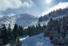 ΠΑΡΝΑΣΣΟΣ ΟΡΕΙΒΑΤΕΣ ΑΓΝΟΟΥΜΕΝΟΙ