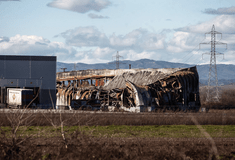 ΒΙΟΛΑΝΤΑ ΜΑΡΤΥΡΙΑ ΕΚΡΗΞΗ 