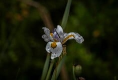 ΚΑΙΡΟΣ ΒΡΟΧΕΣ