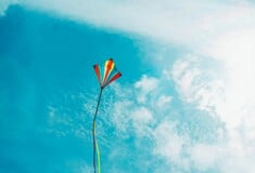 ΧΑΡΤΑΕΤΟΣ ΚΑΛΩΔΙΑ ΚΑΘΑΡΑ ΔΕΥΤΕΡΑ