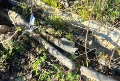 ΔΟΛΙΟΦΘΟΡΑ ΑΘΗΝΑ ΘΕΣΣΑΛΟΝΙΚΗ